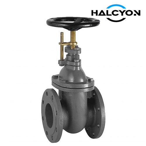 What is Marine Gate Valve?